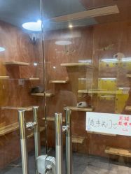-神奇动物撸宠馆·羊驼·小浣熊·异宠(豫园店)