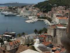 -圣多米努斯大教堂及钟楼(Sv. Dujma)