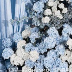 -DC大蔡婚礼策划(李公堤店)