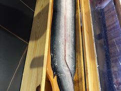 -银座苑烧肉酒场·烤活鳗(仙霞路店)