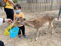 -北京麋鹿生态实验中心