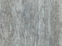 -苏州文庙(姑苏区)