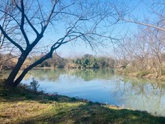 -西溪国家湿地公园