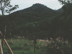 -北仑森林植物园