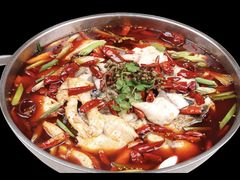 重庆乌江鱼-湖南人家·家传湖南菜(水围店)