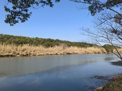 -沙家浜风景区