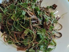 -东北大院·东北菜(三台子店)