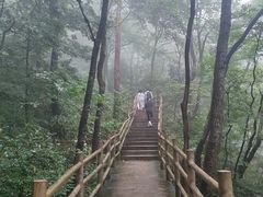 -罗田天堂寨风景区