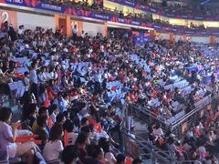 -南京奥林匹克体育中心-体育馆