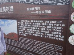-大围山国家森林公园