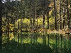 -叠溪松坪沟景区