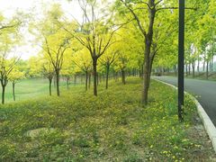 -东郊湿地公园