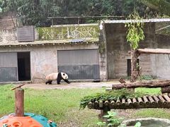 景点-重庆动物园