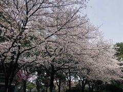 -昆山城市公园