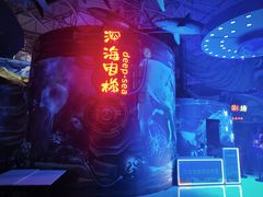 -烟台海昌鲸鲨海洋公园