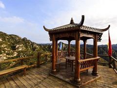-大岭沟猕猴桃谷风景区