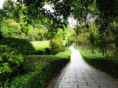 -大屏嶂森林公园