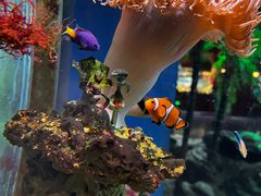 -太平洋海底世界