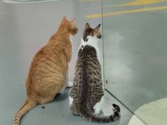 -蓝天射箭馆·专业射箭运动(诚丰广场店)