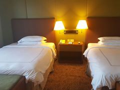 -新加坡瑞士史丹福酒店