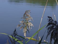 -八大山人梅湖景区