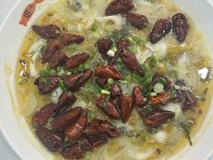 -鱼你在一起(新森兰花园城店)