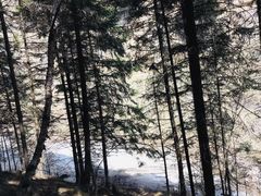 -芦芽山旅游度假区