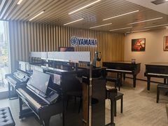 -雅马哈乐器专卖店(广州旗舰店)