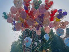 -上海迪士尼度假区