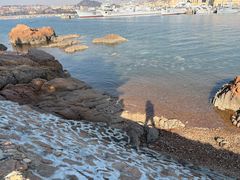 -青岛海滨风景区小青岛