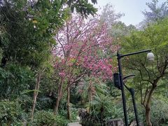 -广州雕塑公园