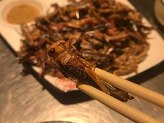 炸蚂蚱-壹加壹电烤串(总店)