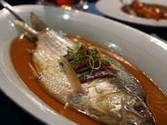 古法秘制蒸鲥鱼-麟1929(外滩店)