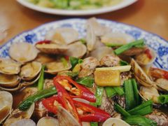姜葱炒白贝-鑫鸿达·海鲜闽菜热炒小馆(中山路店)