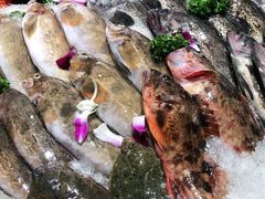 -大锅强·蒸海鲜青岛菜(吾悦广场店)