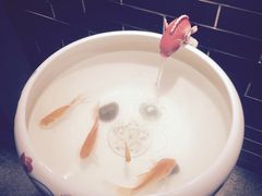 -董家湾重庆老火锅(嘉华店)