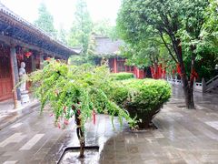 -兴教寺