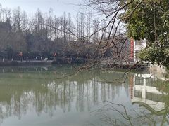 -浮庄