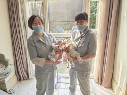-上海星摇篮母婴护理中心(市妇幼店)