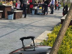 -春花秋色城市公园