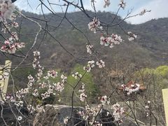-百里山水画廊乌龙峡谷