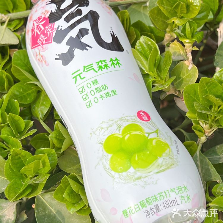 🌸🍃🌸 元气森林，让春日少女心爆棚 🌸🍃🌸