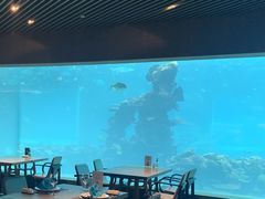 -海棠湾洲际-涛·海底餐厅·美人鱼·自助餐·海底隧道