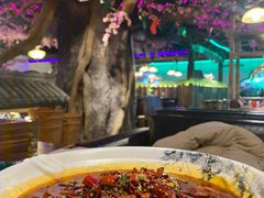 极品毛血旺-朵拉提
