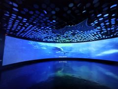 -同济大学四平路校区深海探索馆