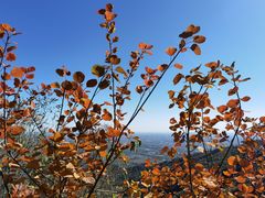 -香山公园