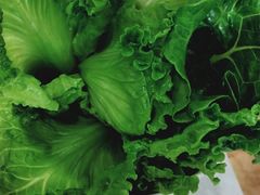 -古乐牛香·鲜牛肉牛杂火锅(新区店)