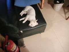 -哈尔滨北方国际青年旅舍(中央大街店)