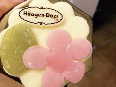 -哈根达斯(青岛海信店)