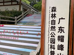 -广州市帽峰山景区